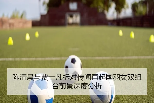 陈清晨与贾一凡拆对传闻再起国羽女双组合前景深度分析